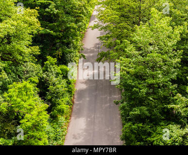 Empty unmarked asphalt road in dense forest and bushes viewed from above. Stock Photo