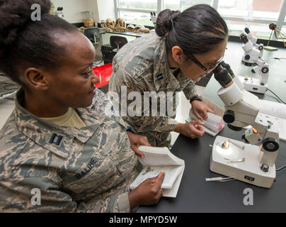 U.S. Air Force Captains Michele Balihe (left) and Caroline Brooks (right), USAF School of Aerospace Medicine Public Health Education Division students, observe through a microscope a medically significant fly of the family Diptera inside the entomology lab at the 88th Aerospace Medicine Squadron, Wright-Patterson Air Force Base, Ohio, April 21, 2017. The 88th AMDS students learn how to identify medically significant insects in their environment for proper risk mitigation to keep Airmen safe. (U.S. Air Force photo by Michelle Gigante/released) Stock Photo