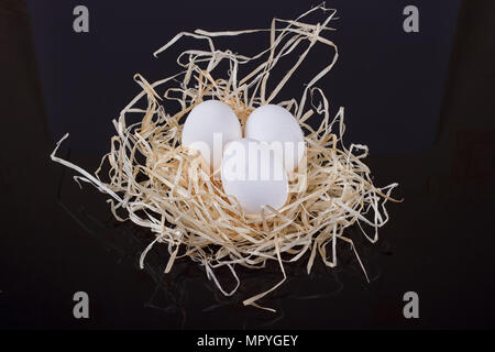Three chicken eggs in the nest like On a black background Stock Photo