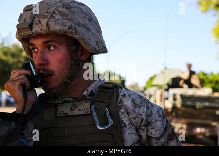 Cpl. Eric Martin, gunner with 2nd Low Altitude Air Defense (LAAD),  supporting Marine Aviation Weapons and