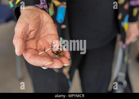 Annique Dveirin, Holocaust survivor, releases a butterfly during the Holocaust remembrance ceremony at Davis-Monthan Air Force Base, Ariz., April 24, 2017. The butterflies were released to signify hope, transformation and freedom. Stock Photo