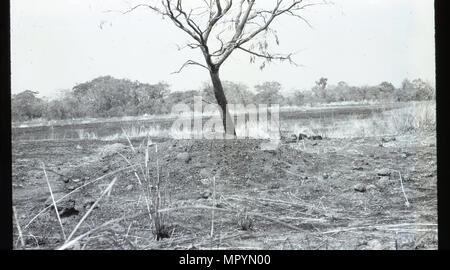 MISCELLANEOUS PHOTOS - An empty field Stock Photo