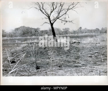 MISCELLANEOUS PHOTOS - An empty field Stock Photo