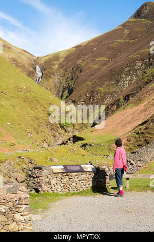 Woman looking at the Grey Mare's Tail or Roaring Linn waterfall, near Moffat, Dumfries & Galloway, Scotland, UK Stock Photo