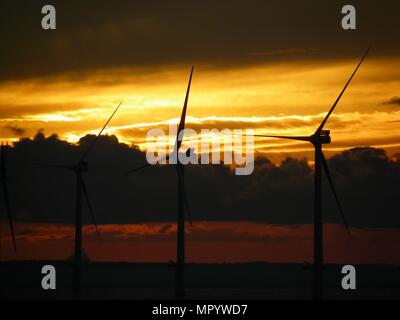 Out Newton wind farm off the Holderness coast viewed from cargo ship entering the Humber Estuary as the sun sets over Holderness Stock Photo