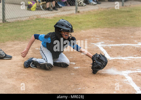 Skilled little league baseball catcher scooping a low pitch out of the dirt as it kicks up a cloud of chalk dust. Stock Photo