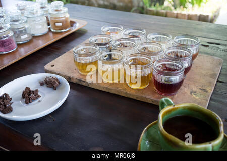 Tasting of different balinese teas, coffees and chocolates, Tegenungan, Bali, Indonesia (09.05.2018) Stock Photo