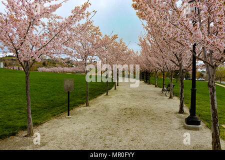 garden park bench path pathway background Stock Photo ...