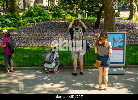 New York, USA, 25 May 2018. Hundreds of American flags are placed on Veteran's Lawn for Memorial Day in Madison Square Park to honor over 100,000 fallen soldiers, seen on Friday, May 25, 2018. The 'Fallen Soldier's Flag Garden' occupies two lawns in the park and each flag represents 10 soldiers with 10,000 flags planted. The installation was created by the Madison Square Park Conservancy and Credit Suisse and is on view until May 29. Credit: Richard Levine/Alamy Live News Stock Photo