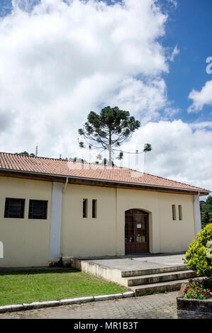 city Morretes Brazil house  entrance yellow color architecture grass Stock Photo