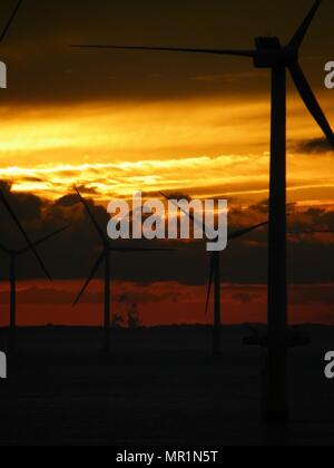 Out Newton wind farm off the Holderness coast viewed from cargo ship entering the Humber Estuary as the sun sets over Holderness Stock Photo