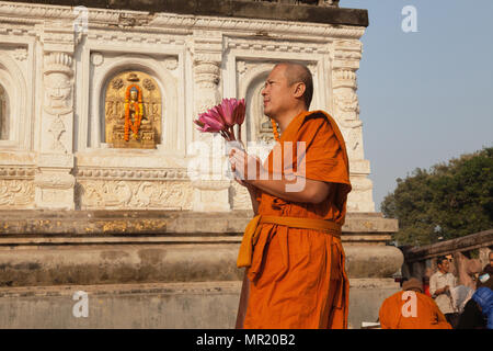 India, Bihar, Bodhgaya, A Buddhist monk holding lotus flowers prays at the Mahabodhi Temple in Bodh. Stock Photo
