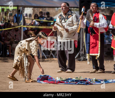 A young Chumash Native American girl is donating money at the annual Chumash pow wow gathering in Live Oak Camp in Santa Ynez california. Stock Photo