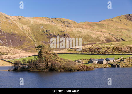 Cregennan Lakes farm, Snowdonia, Wales, on a clear, sunny day Stock Photo