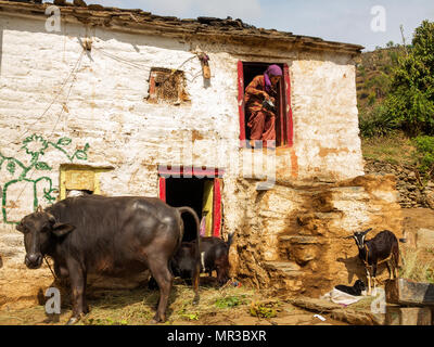 Indian womans at their daily routine at remote Sanouli Village, where Jim Corbett shot the Panar maneating leopard, Kumaon Hills, Uttarakhand, India Stock Photo