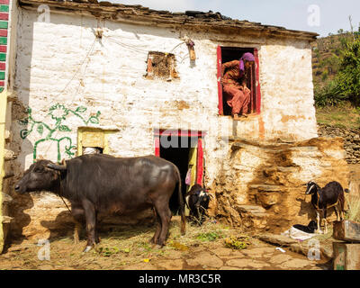 Indian womans at their daily routine at remote Sanouli Village, where Jim Corbett shot the Panar maneating leopard, Kumaon Hills, Uttarakhand, India Stock Photo