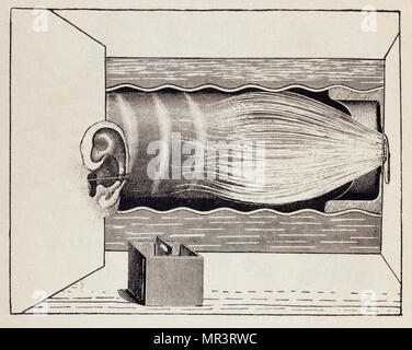 illustration by Max Ernst, for 'Misfortunes of the Immortals'. by Paul Éluard. This image illustrates the surrealist poem by Éluard 1922 Stock Photo