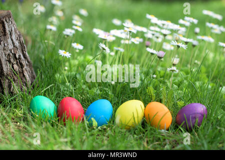 Six colorful Easter hen eggs in a row Stock Photo