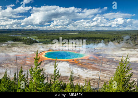 Grand Prismatic Spring on a wonderful summer evening in full color. Just an absolutly amazing place and one of the Natual Wonders of our Planet Stock Photo