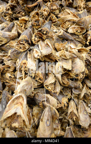 Norwegian Stockfish/stock Fish Cod 