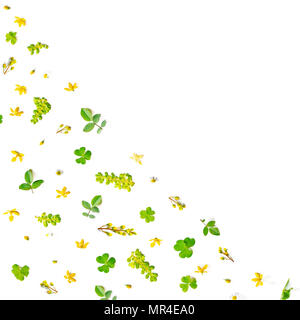 Frame from green leaves and flower on white background for isolated ...