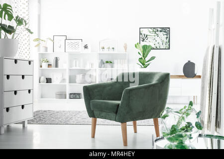 Green armchair in white room interior with a cupboard, decorations on shelves and plants Stock Photo