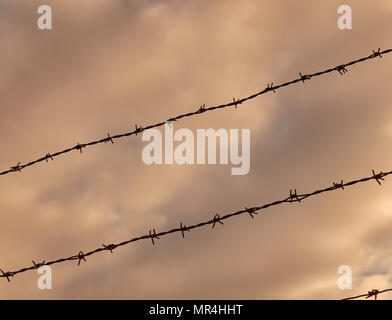 Rows of barbed wire are clamped before a dark, menacing and cloudy sky Stock Photo