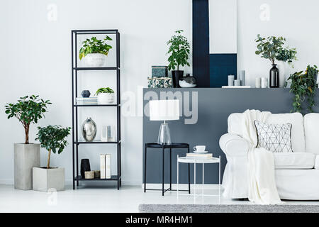 Two black and white metal end tables with lamp, books and tea cup standing in bright living room interior with fresh plants, couch and decor Stock Photo