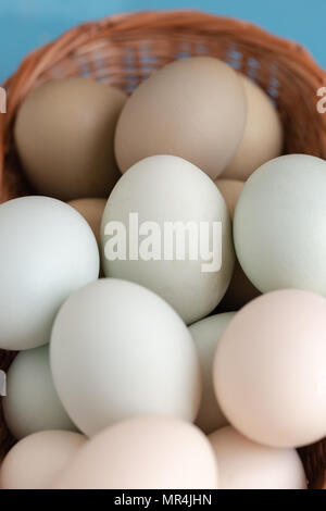 Dark green, light grey, white egs in woven basket macro shot. Full frame close up vertical crop Stock Photo