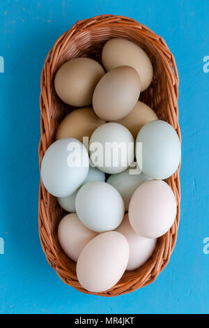 Colourful eggs in gradient natural tones placed in woven wicker basket still image. Full frame view from top on vivid blue background Stock Photo