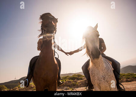 hands touching with love but horse face bomb the pictures for a final funny image with horse smiling. backlight and love concept in the nature leisure Stock Photo