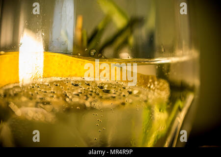 Close-up of a glass of tonic with lemon and rosemary Stock Photo
