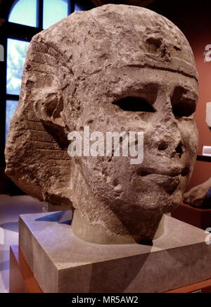 Colossal head from a Royal statue from Ancient Egypt. Built from Numulitic stone from Alexandria. Dated 300 BC Stock Photo