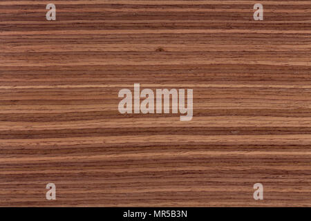 Walnut veneer natural wooden decorative furniture surface. Stock Photo