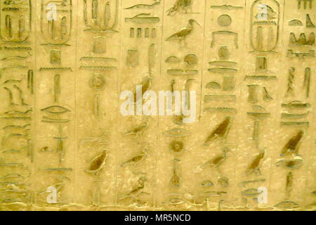 reliefs inside the Pyramid Complex of Unas, at Saqqara, near Cairo in Egypt. It was built for pharaoh Unas, the ninth and final king of the Fifth Dynasty in the mid 24th century BC.  the pyramid of Unas is the first to have texts on the walls of its burial chambers. The spells of these Pyramid Texts were thought to be useful to the dead king in the afterlife; some were recited during his burial ceremonies. The hieroglyphs in Unas' pyramid are incised in fine sunk relief and painted blue, while the ceiling of the sarcophagus chamber is covered with stars Stock Photo