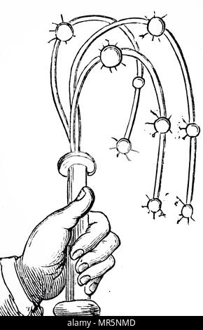 Cat O Nine Tails Stock Photo: 6073972 - Alamy