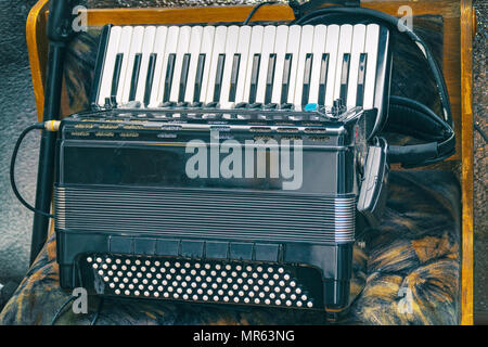 Electric accordion on a natural background. Accordion synthesizer Stock Photo