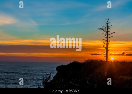 A lone snag shilouetted by the setting sun on the Oregon Coast Stock Photo