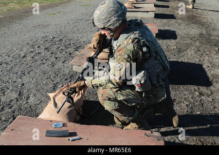 Spc. James Harris, A Stryker Gunner With 5-1 Cavalry, 1/25 SBCT "Arctic ...