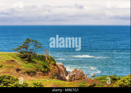 Copyspace is available in this view from high above Yaquina Head the landscape of the horizon where the clouds meet the Pacific Ocean, while a tree cl Stock Photo