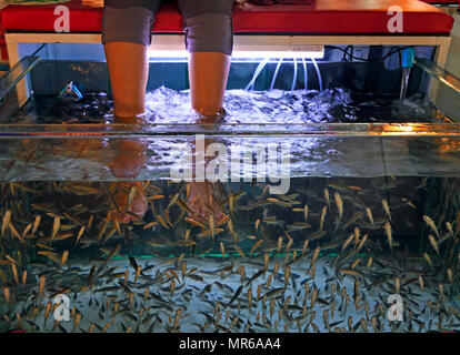 Feet hanging in aquarium with fish, to remove dead skin from feet, Phuket, Thailand Stock Photo