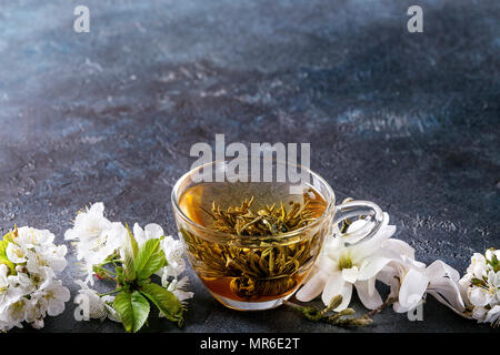 Glass cup of hot green tea with spring flowers white magnolia and cherry blooming branches over dark blue texture background. Copy space. Stock Photo