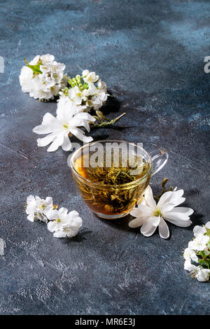 Glass cup of hot green tea with spring flowers white magnolia and cherry blooming branches over dark blue texture background. Copy space. Stock Photo