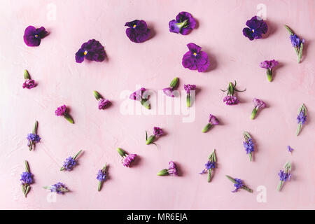 Variety of purple edible flowers for dish decorating over pink pastel background. Top view, space. Stock Photo
