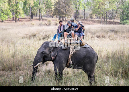 Mahout and tourists taking photographs on an Asian, or Indian Elephant, Bandhavgarh National Park, Tala, Madhya Pradesh, India Stock Photo