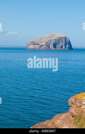 Bass Rock Near North Berwick East Lothian Scotland. Stock Photo