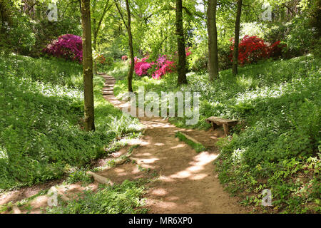 Footpath with Colorful Blossom in Spring Stock Photo