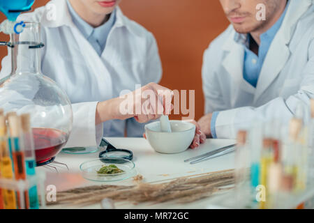 cropped view of biologists working with plants and petri dishes in laboratory Stock Photo