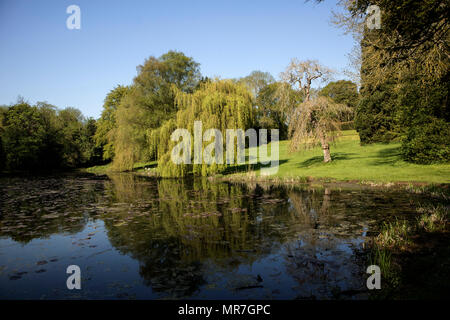 The small fishing lake at Fairleigh Dickinson University, formerly Wroxton College at Wroxton, near Banbury, Oxfordshire Stock Photo