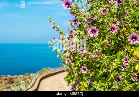 Path on the sardinian coast near Castelsardo  in spring Stock Photo